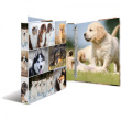HERMA Ringbuch A4 Hunde 4D