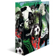 HERMA Ordner Street Soccer