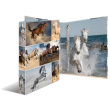 HERMA Ringbuch A4 Pferde 4D