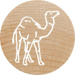 COLOP WOODIES Stempel-Set 