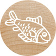 COLOP WOODIES Stempel-Set 