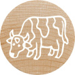 COLOP WOODIES Stempel-Set 