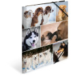 HERMA Sammelmappe A4 Hunde Pappe