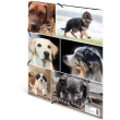 HERMA Sammelmappe A4 Hunde Pappe