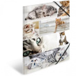 HERMA Sammelmappe A3 Katzen Pappe