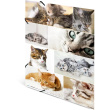 HERMA Sammelmappe A3 Katzen Pappe