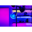 Razer Aether RGB-LED-Glühbirne für Gaming-Zimmer