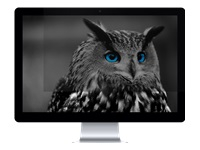 NATEC NFP-1478 Natec Privacy Filter RODO OWL 24, 16:9