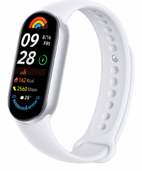 Xiaomi Smart Band 9, Acier Silver