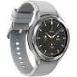 Samsung R895FZ Galaxy Watch 4 Classic LTE 46mm, mystic silver, DE