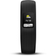 Garmin Fitnessarmband vivofit 4 schwarz (Standard)