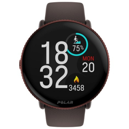 Polar Ignite 3 Titanium Leder- und Silikonarmband