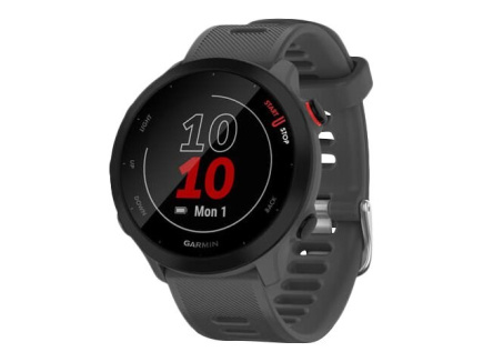 Smartwatch Garmin Forerunner 55 Grey