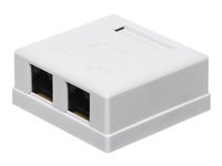 Netrack complete surface-mounted outlet 2xRJ45 8p8c UTP Cat6 Gigabit speed LSA