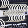 Qoltec Brush strip for 19inches RACKs, 1U