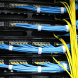 Qoltec Cable organizer for 19inches RACKs,24ports