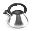 Non-electric Veekeetja Maestro MR-1306 Silver 3 L