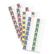 Caso | Foil rolls | 01221 | 2 units | Dimensions (W x L) 20 x 600 cm | Ribbed 01221