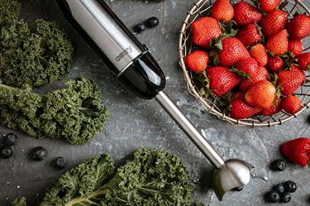 Camry CR 4615 blender Immersion blender Must,Stainless steel 700 W