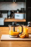 ADLER AD 4012 CITRUS SQUEEZER