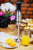 ELDOM Blender JAX, 1000 W, metal tip, speed regulation, turbo
