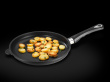 Praepann AMT Gastroguss I420EZ2