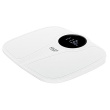 Adler | Bathroom Scale | AD 8172w | Maximum weight (capacity) 180 kg | Accuracy 100 g | Body Mass Index (BMI) measuring | Valge