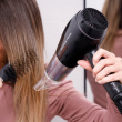 Taurus hair dryer LYSS2300 (2200W)