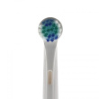 Oral B hambaharjale sobivad varuharjad, 6 tk 3304000019