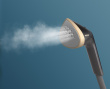 Philips STE3170/80 garment steamer 2000 W Must