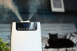 Blaupunkt Air humidifier AHS803