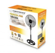Esperanza EHF002KE household fan Black