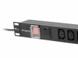 Lanberg Surge protector Rack PDU 19 inch 1U 10A 10X IEC C13 2m C14 black