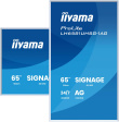 iiyama 65
