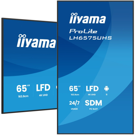 iiyama 65