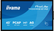 iiyama 43