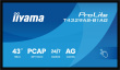 iiyama 43