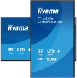 iiyama 55