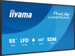 iiyama 55