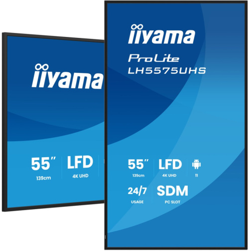 iiyama 55