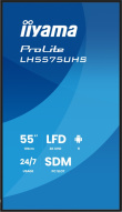 iiyama 55
