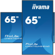 iiyama 65