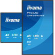 iiyama 43