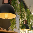 Shelly Plug & Play Beleuchtung 