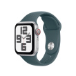 Apple Watch Sport Band for Watch 40mm Sea Green (S/M)