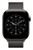 Apple MGJ74ZM/A Smart Wearable Accessories Band Slate colour Stainless steel