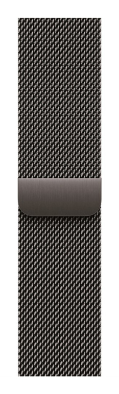 Apple MGHX4ZM/A Smart Wearable Accessories Band Slate colour Stainless steel