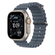 Apple Natural Titanium Finish Band Blue Fluoroelastomer, Titanium