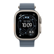 Apple Natural Titanium Finish Band Blue Fluoroelastomer, Titanium