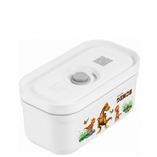 Dinox Plastic Lunch Box ZWILLING FRESH & SAVE 36814-500-0 0.8 L